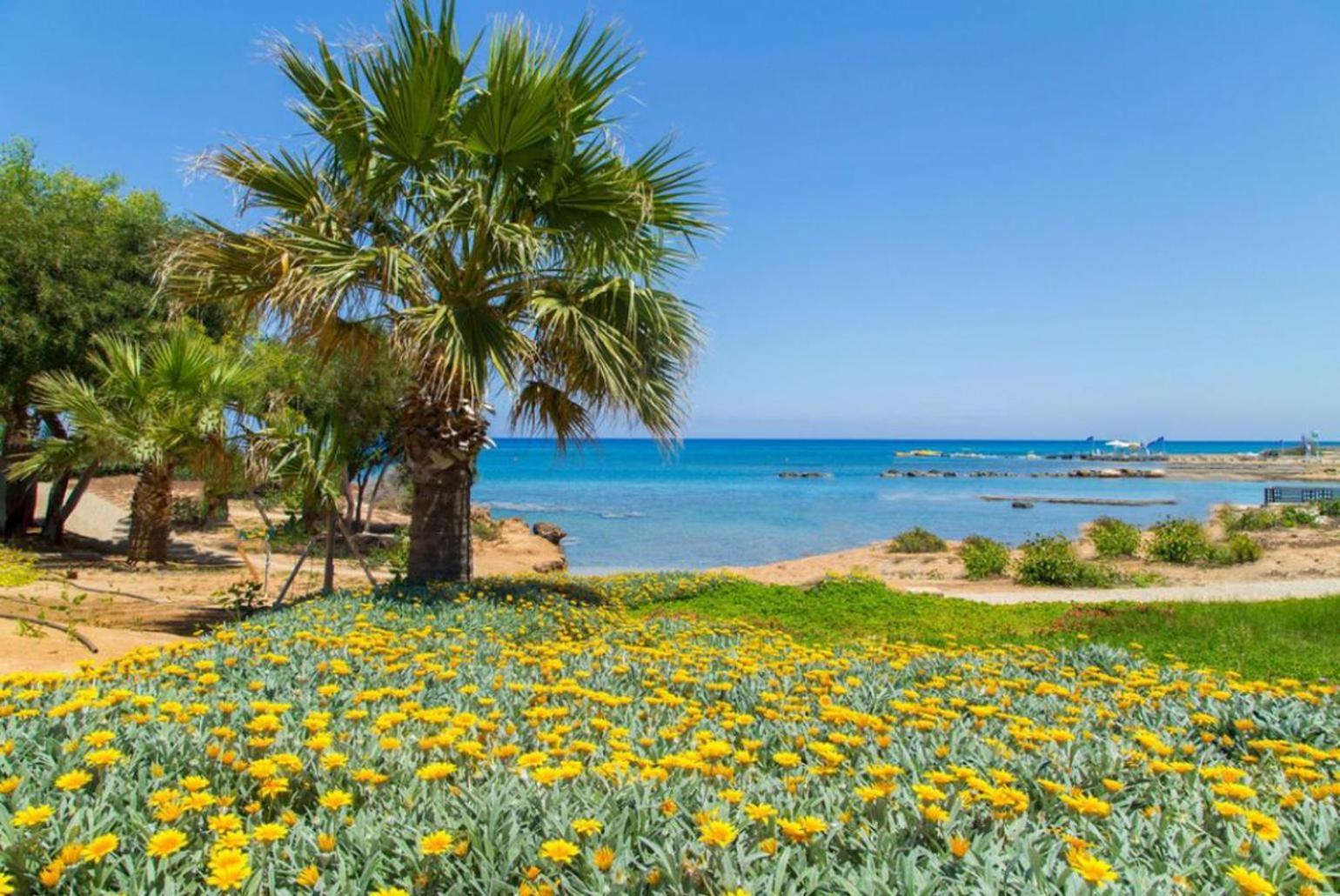 Villa Constantinos Kato Yialia Eksteriør billede